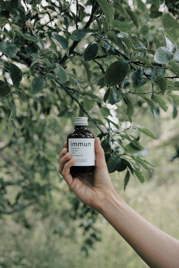 JUKSEREI KRUUT · IMMUNE OXYMEL 150ML Günstig kaufen