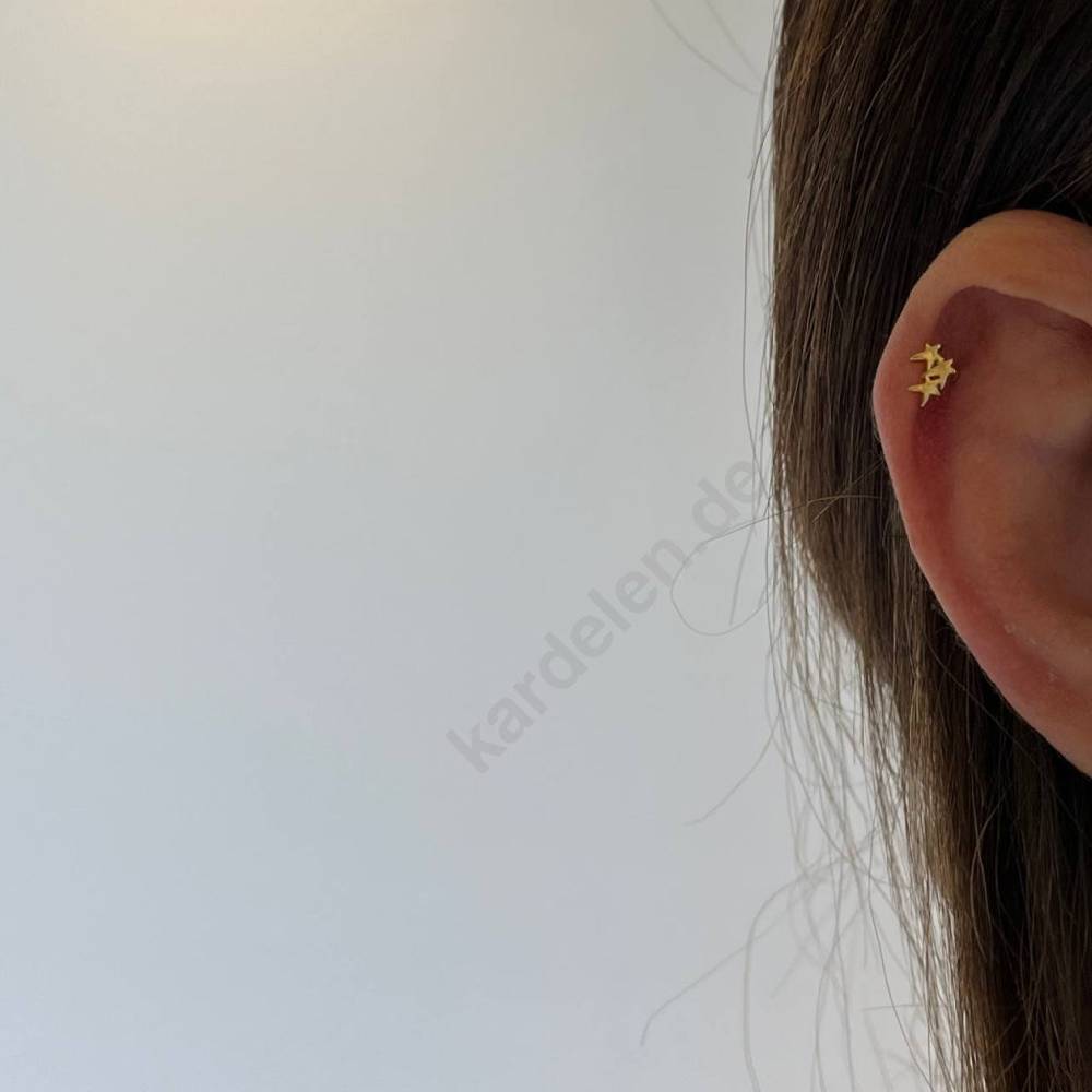 Kardelen Stern Piercing Riesige Ersparnisse