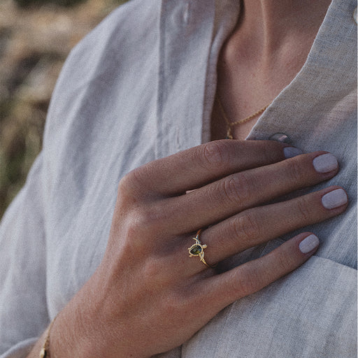 ﻿Paul Hewitt Turtle Ring Gold Vatertagsangebot