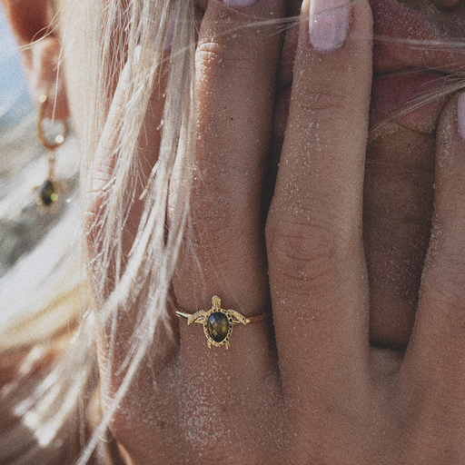 ﻿Paul Hewitt Turtle Ring Gold Vatertagsangebot