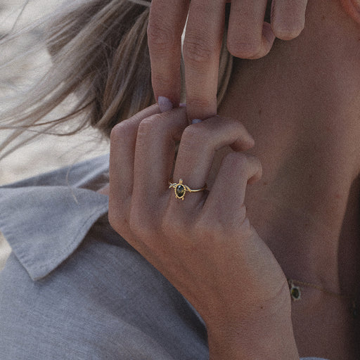 ﻿Paul Hewitt Turtle Ring Gold Vatertagsangebot