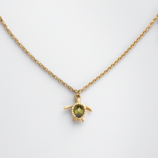 Paul Hewitt Turtle Mono Halskette Gold Valentinstagsangebot