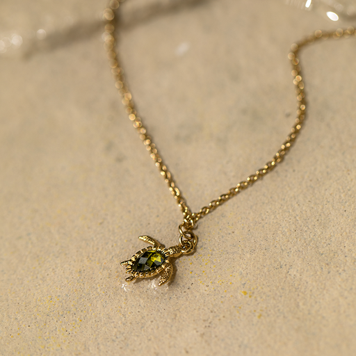 Paul Hewitt Turtle Mono Halskette Gold Valentinstagsangebot