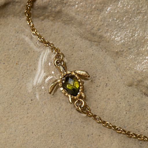 Paul Hewitt Turtle Mono Armkette Gold Heißer Verkauf
