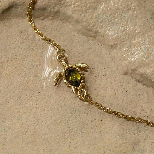 Paul Hewitt Turtle Mono Armkette Gold Heißer Verkauf