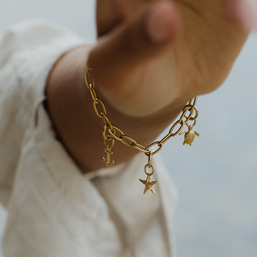 Paul Hewitt Turtle Charm Gold Begrenzt auf 3 Tage