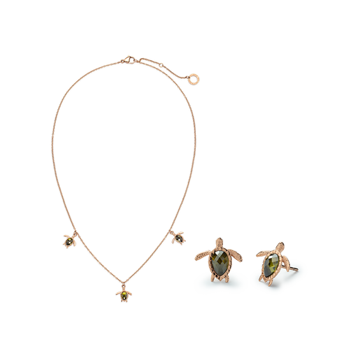 Paul Hewitt Set Turtle Roségold Vierteljährliche Förderung