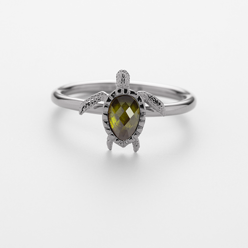Paul Hewitt Turtle Ring Silber 2025