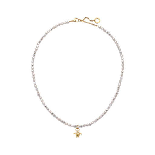 Paul Hewitt Set Turtle Charm und Halskette Gold Saisonschlussverkauf