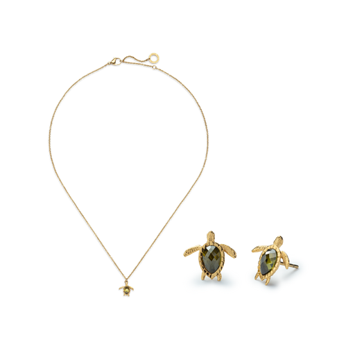 Paul Hewitt Set Turtle III Gold Saisonale Angebote