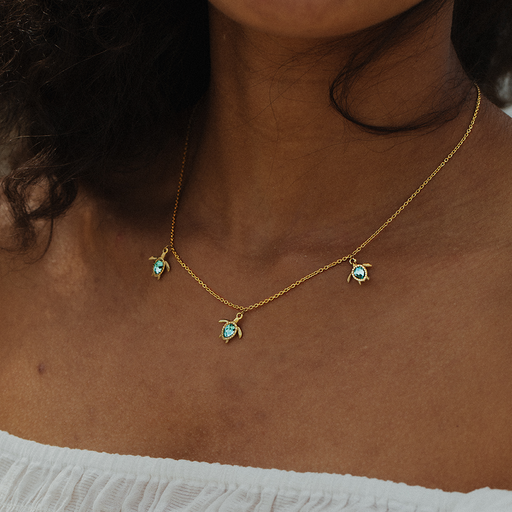Paul Hewitt Turtle Cyan Set II JETZT KAUFEN