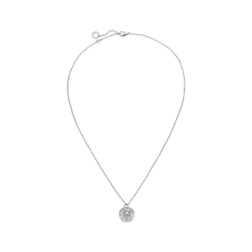 Paul Hewitt Turtle Coin Halskette Silber