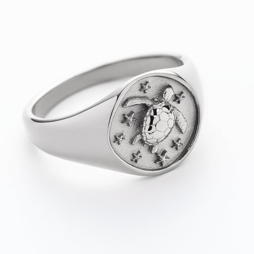 Paul Hewitt Turtle Signet Ring Silber Günstiger Verkauf