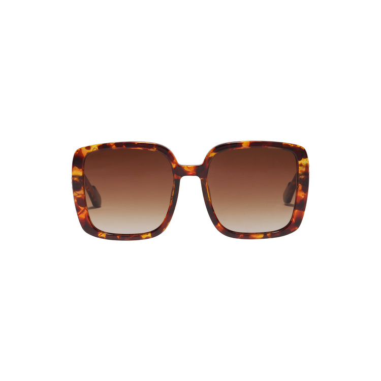 Pilgrim ALIET Sonnenbrille Schildpatt-Braun/Gold Lagerräumung