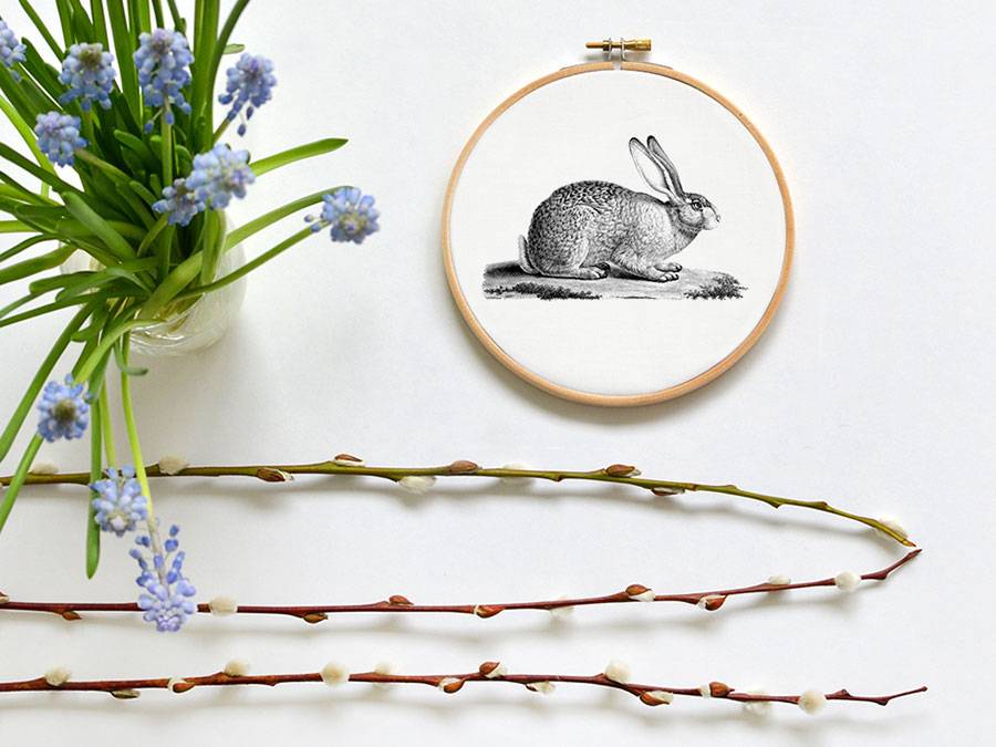 Renna Deluxe Hase _ Bild im Stickrahmen Super Rabatt