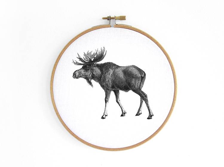 Renna Deluxe Elch _ Bild im Stickrahmen Wochenangebot