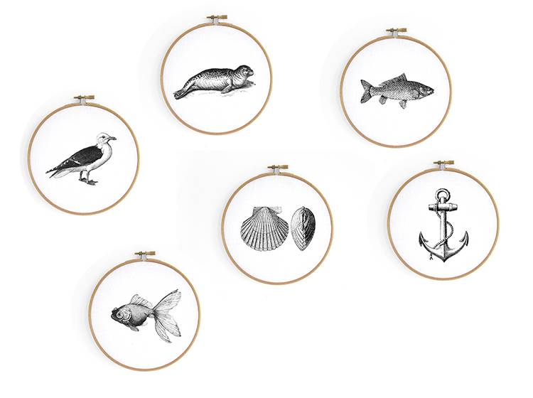 Renna Deluxe Elch _ Bild im Stickrahmen Wochenangebot
