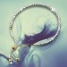 Silberdream SilberDream Armband Perlen diamantiert 925er Sterling Silber Damen SDA7004T JETZT KAUFEN