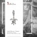 Silberdream SilberDream 925 Charm Seeschildkröte Armband Anhänger FC1002 Günstiger Verkauf