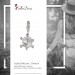 Silberdream SilberDream 925 Charm Schildkröte Armband Anhänger FC1001 Begrenztes Angebot