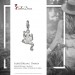 Silberdream SilberDream Glitzer Charm Frosch weiß Zirkonia Kristalle 925er GSC521W JETZT KAUFEN
