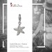 Silberdream SilberDream Charm Seestern Zirkonia 925 Silber Armband Anhänger FC730W Vierteljährliche Förderung