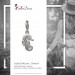 Silberdream SilberDream Charm Seepferdchen 925er Silber Armband Anhänger FC727I Letzter Tag